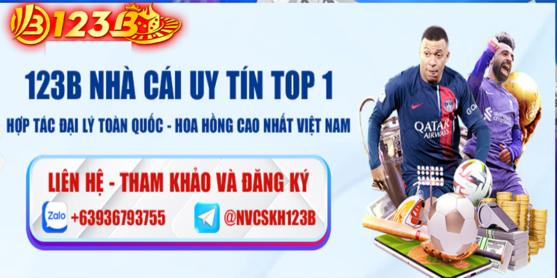 Hợp tác đại lý với nhà cái 123B - Hoa hồng cao nhất Việt Nam